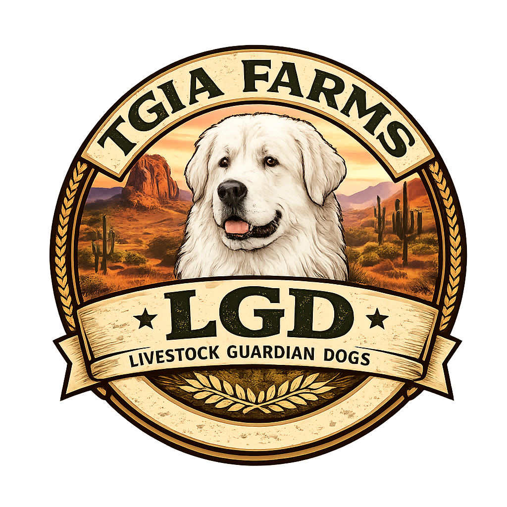 TGIA Farms Guardian Livestock Dog