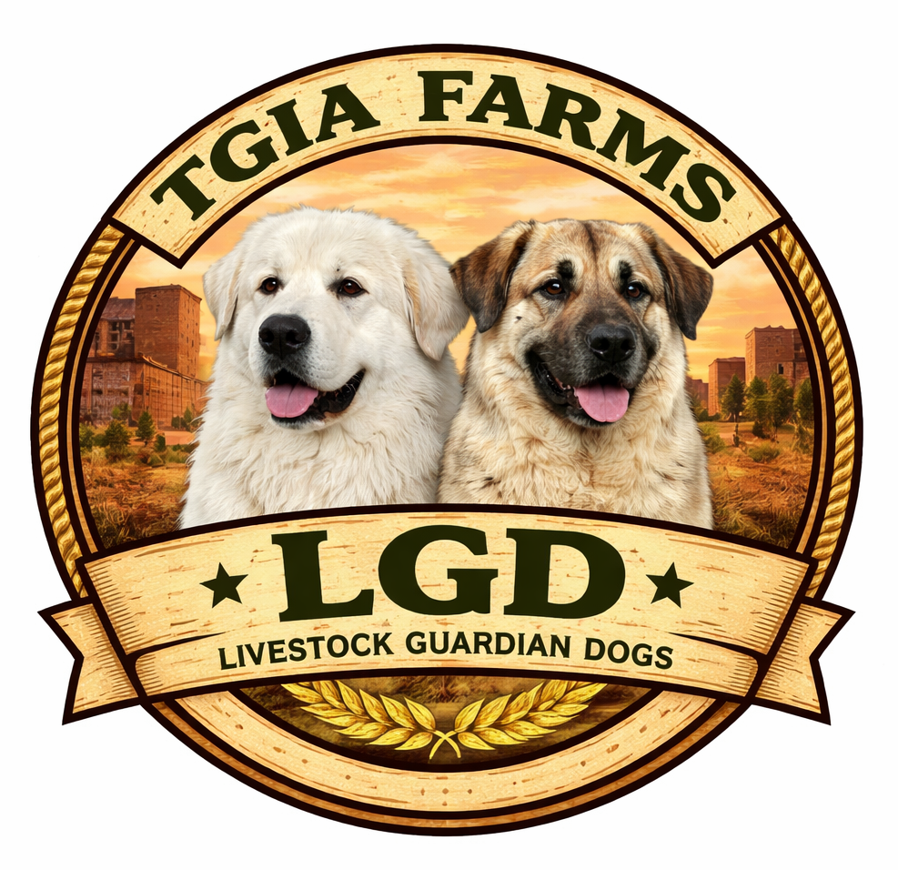TGIA FARMS